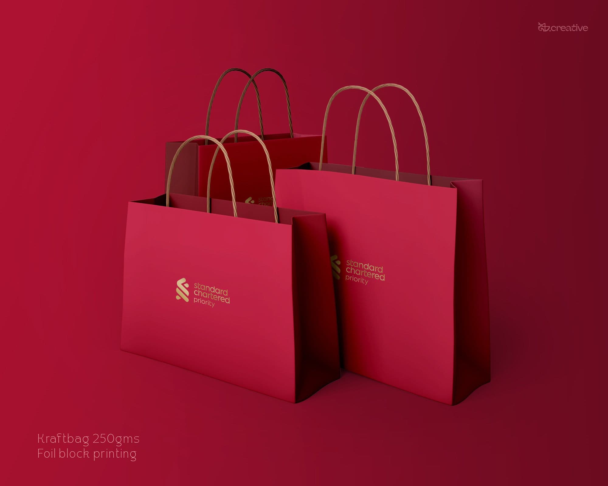 (Update2)StdCB_MockUp_Bag.jpg